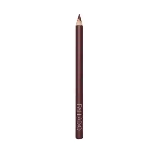 Lápiz Labial Palladio Raisin 0.27g