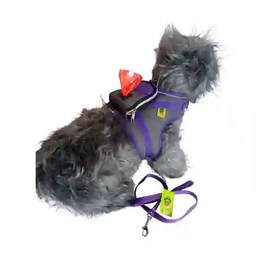 Trailla Y Chaleco Extra Grande Porta Bolsas Morado
