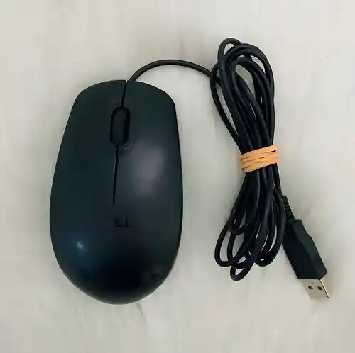 Ratón Usb Óptico Dell Modelo Ms111