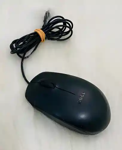 Ratón Usb Óptico Dell Modelo Ms111
