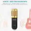 Micrófono De Condensador Bm-800 – Estudio Profesional En Casa