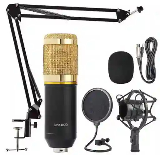 Micrófono De Condensador Bm-800 – Estudio Profesional En Casa