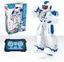 Robot Inteligente Control Remoto Deteccion Gestos Baila Canta
