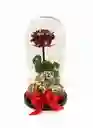 Rosa Preservada En Cúpula Premium