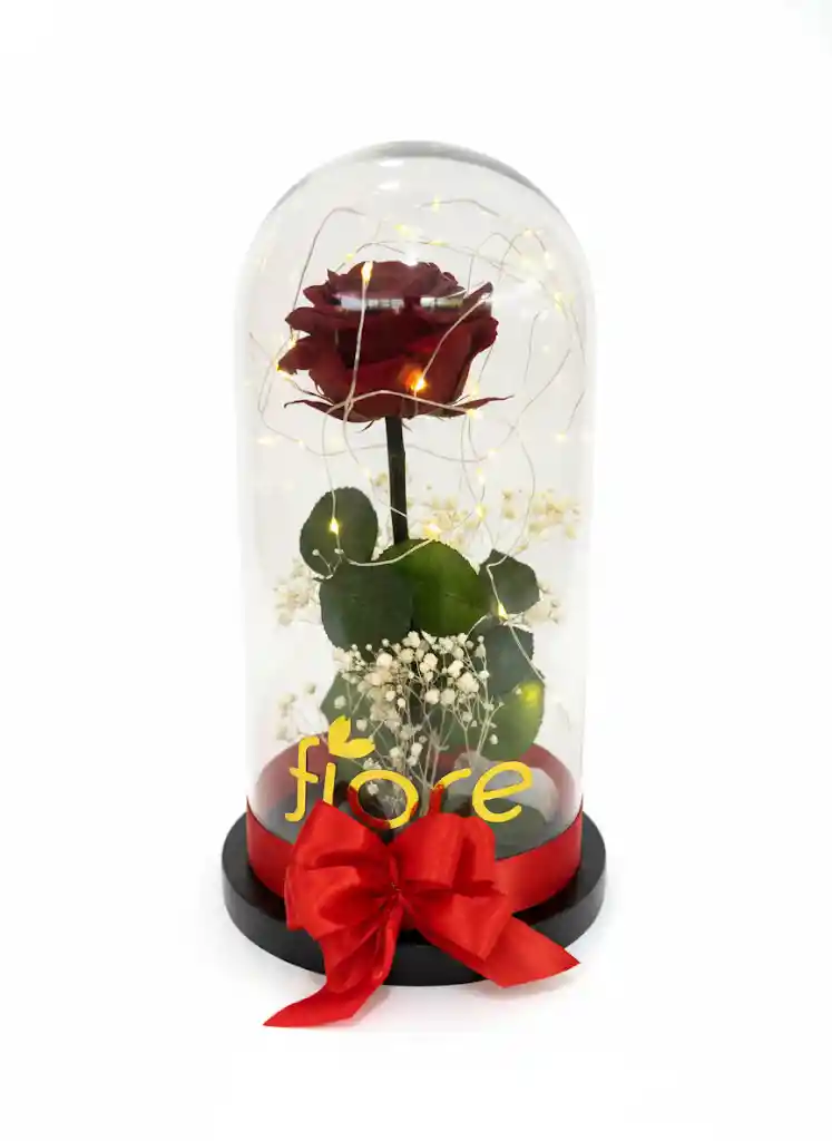 Rosa Preservada En Cúpula Premium