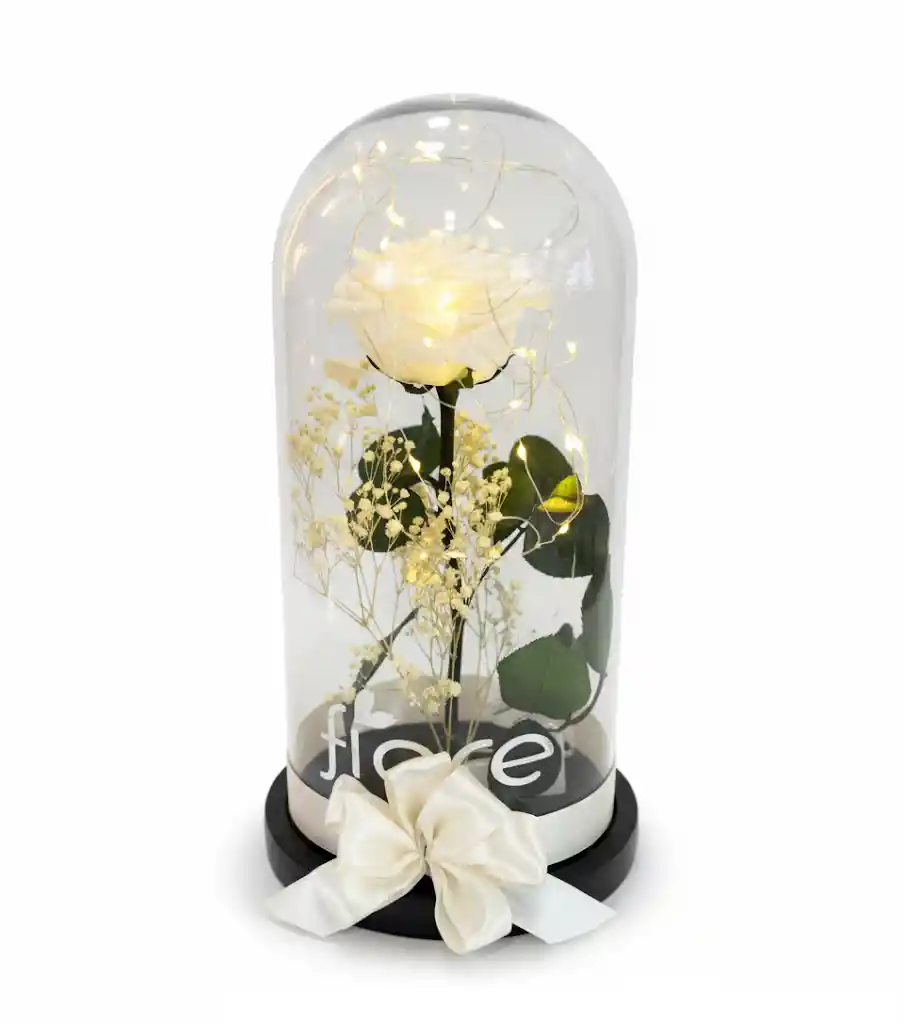 Rosa Preservada En Cúpula Premium