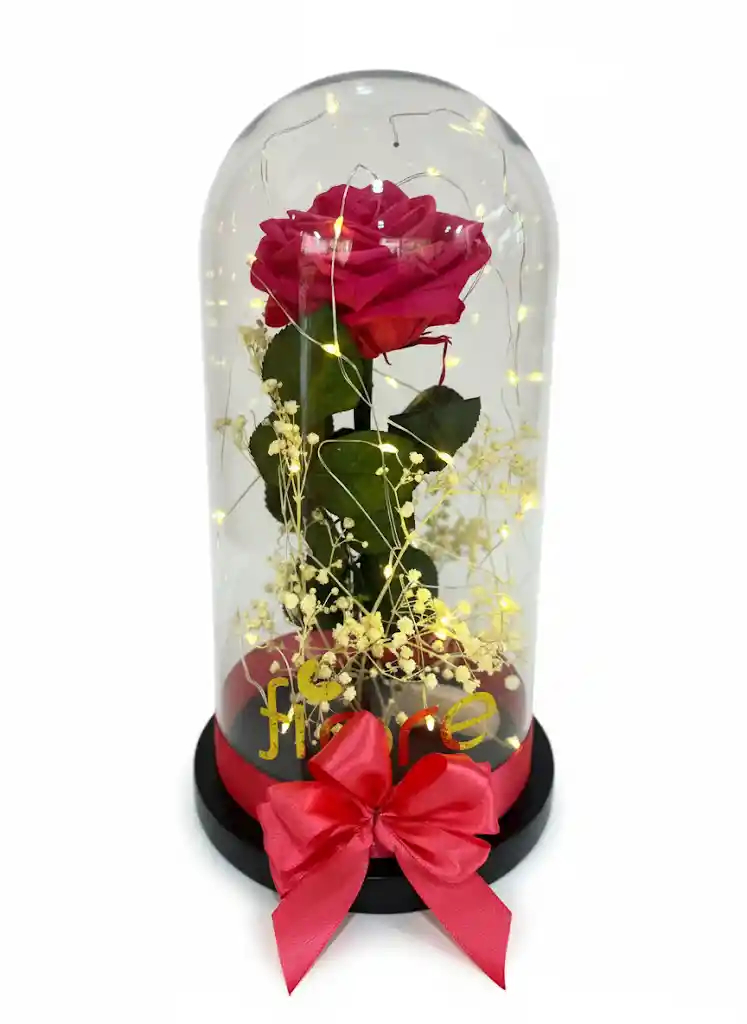 Rosa Preservada En Cúpula Premium