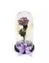 Rosa Preservada En Cúpula Premium