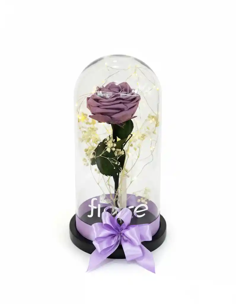 Rosa Preservada En Cúpula Premium