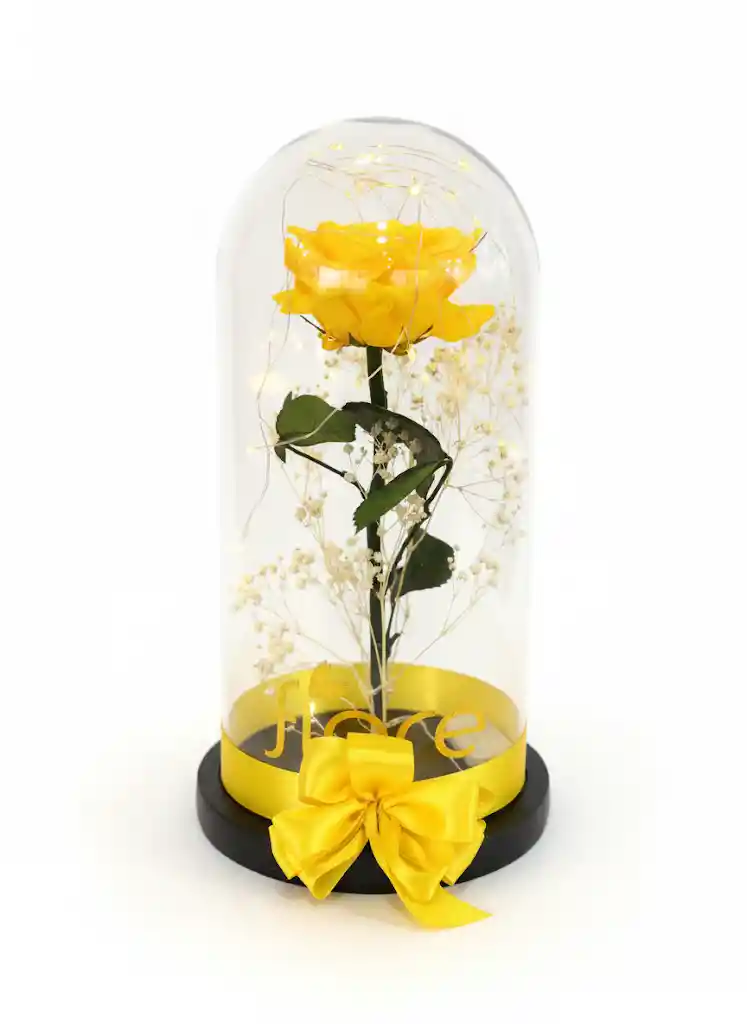 Rosa Preservada En Cúpula Premium