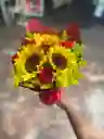 Amor Radiante