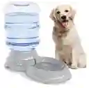 Dispensador Automático De Agua Para Mascotas 11l Fuente De Bebida Por Gravedad Para Perros Y Gatos