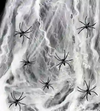 Telaraña Pequeña Con Una Araña Para Halloween