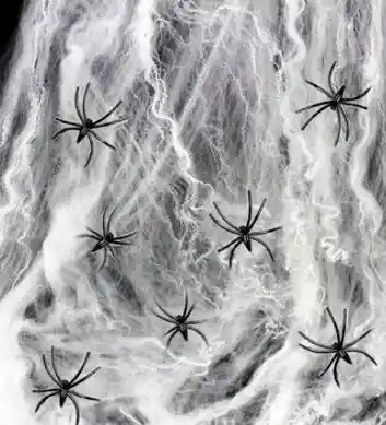 Telaraña Pequeña Con Una Araña Para Halloween