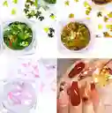 Brillos Para Maquillaje De Rostro, Cabello O Uñas Diseño De Hojas Para Cuerpo Escarcha Para Maquillaje