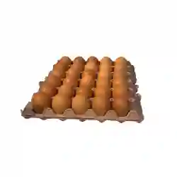 Huevos Santa Reyes Aaa