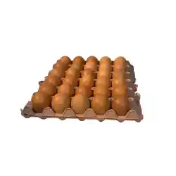 Huevos Santa Reyes Aaa