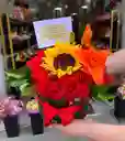 Torbellino Rojo ❤️‍🩹