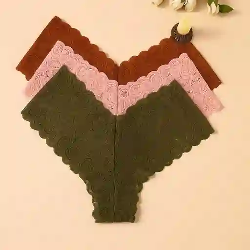 Panty Encaje Romántico – Pack X3