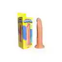 Masturbador Benjamin Dildo Consolador Realista 19cm Dildo Estimualdor Unisex Ano Vagina