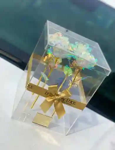 Rosa Galaxy Acrilica