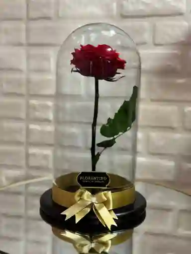 Rosa Eterna