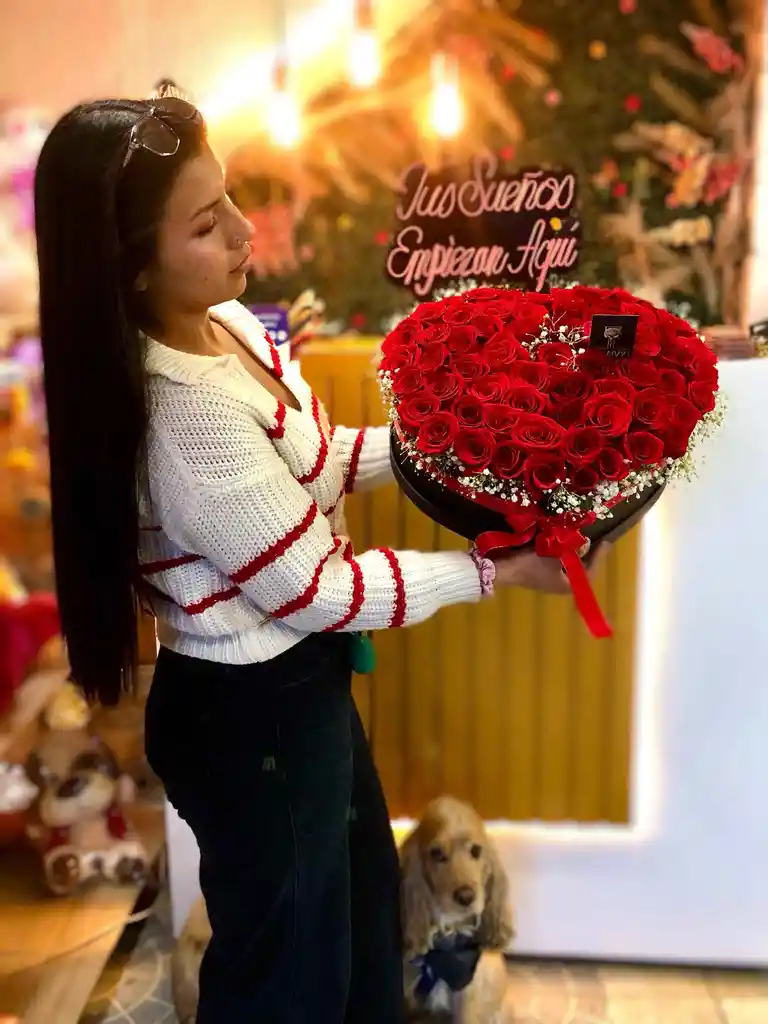 💞 Velvet Love 🌹