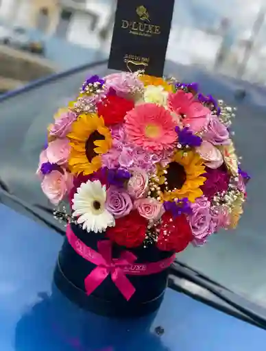 Caja Cilindrica Multiflores