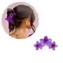 Pinza Caimán Gancho Flores Hawaianas Pelo Cabello