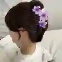 Pinza Caimán Gancho Flores Hawaianas Pelo Cabello