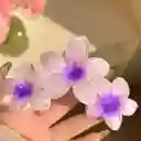 Pinza Caimán Gancho Flores Hawaianas Pelo Cabello