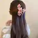 Pinza Caimán Gancho Flores Hawaianas Pelo Cabello