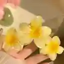 Pinza Caimán Gancho Flores Hawaianas Pelo Cabello
