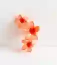 Pinza Caimán Gancho Flores Hawaianas Pelo Cabello