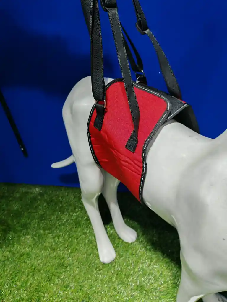 Arnes Cintura Talla S