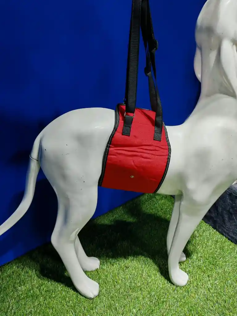 Arnes Cintura Talla L