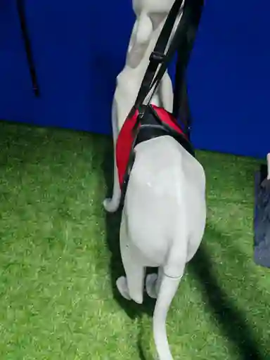 Arnes Cintura Talla L