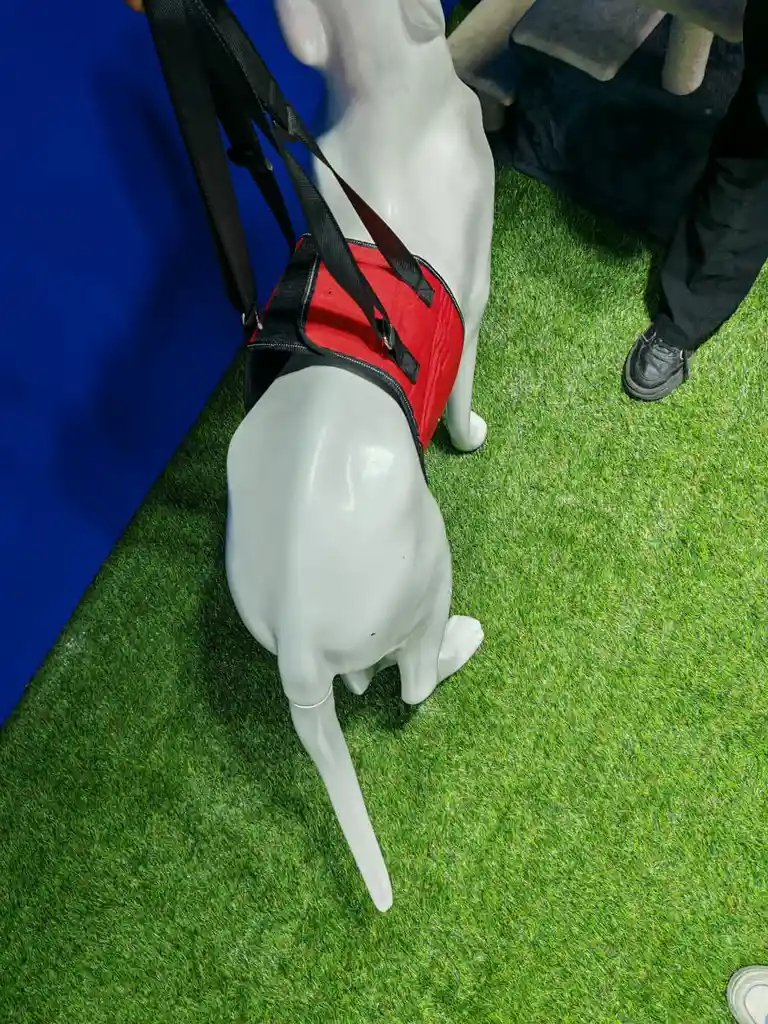 Arnes Cintura Talla L