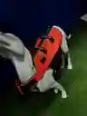 Flotador Para Perros Talla Large