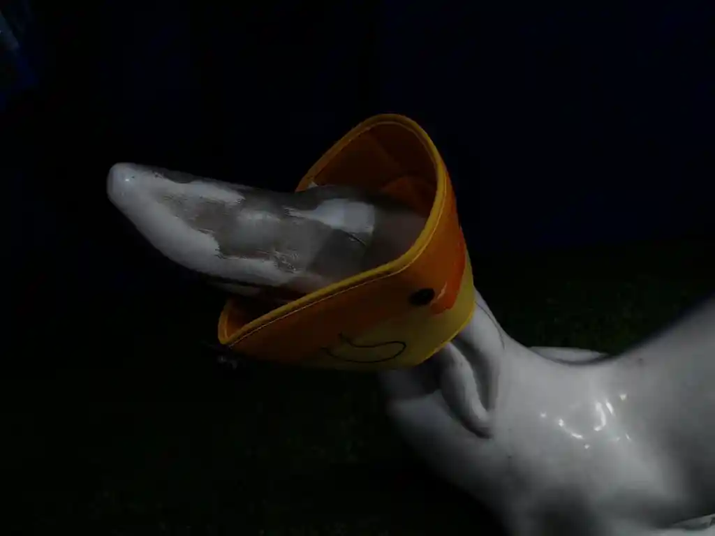 Collar Isabelino Con Diseño De Pato Talla L