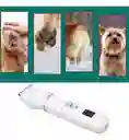 Maquina De Motilar Mascotas Canina Gatos Perros Recarga 4en1