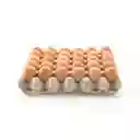 Huevos Extra Grandes Aaa Ecologicos