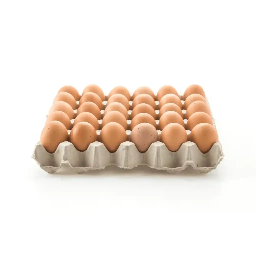 Huevos Extra Grandes Aaa Ecologicos