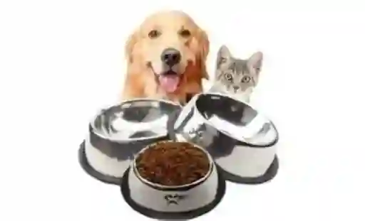 Plato Metalico Para Comida De Mascotas Tamaño Pequeño Comedero Para Perros Y Gatos