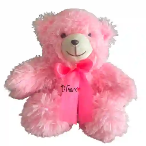 Oso De Peluche
