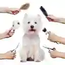 Cortadora De Pelo De Mascotas Inalámbrica Todo En 1