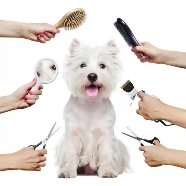 Cortadora De Pelo De Mascotas Inalámbrica Todo En 1