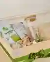 Ancheta Detalle Fitness: Matcha, Pistachos, Suculenta, Granola Sofia Jaramillo