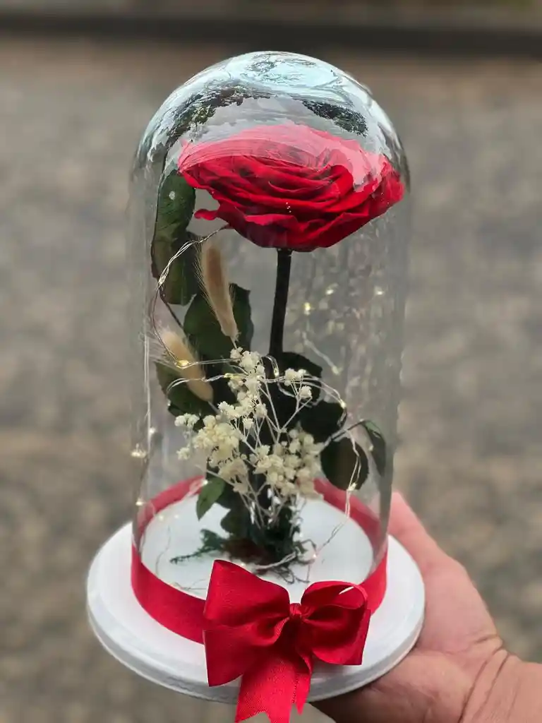 Rosa Roja Preservada