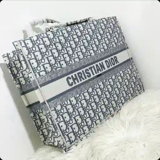 Bolso Christian Dior